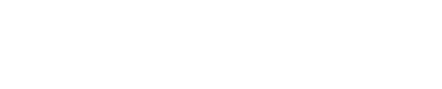 CEO program review